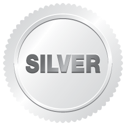 Silver Inspection Package